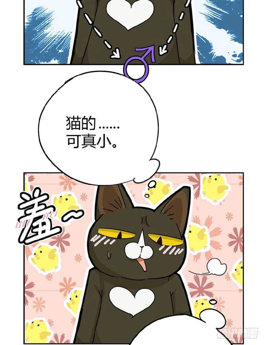 第1爪 猫？猫！ 第35页