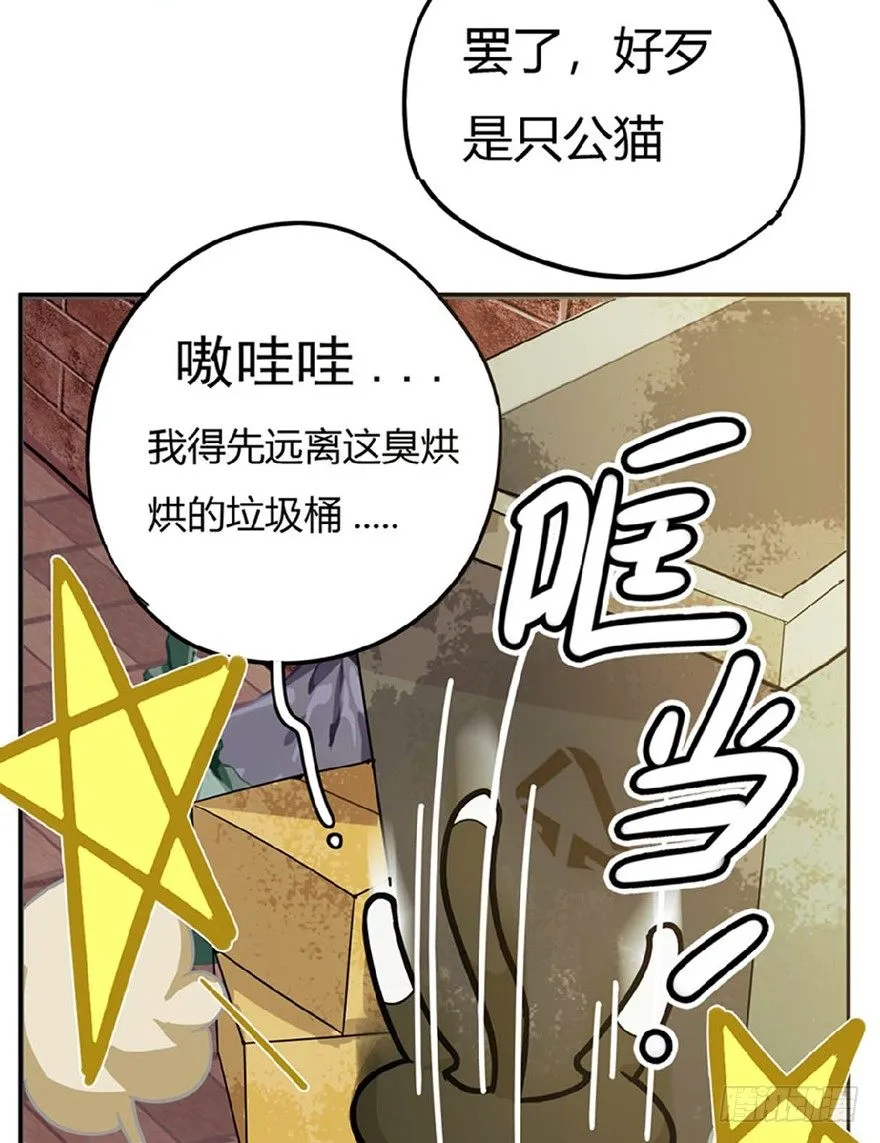 第1爪 猫？猫！ 第36页