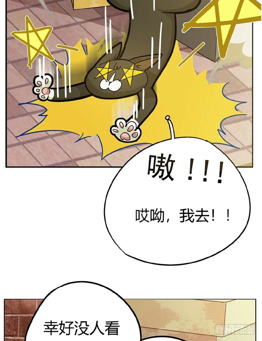 第1爪 猫？猫！ 第37页