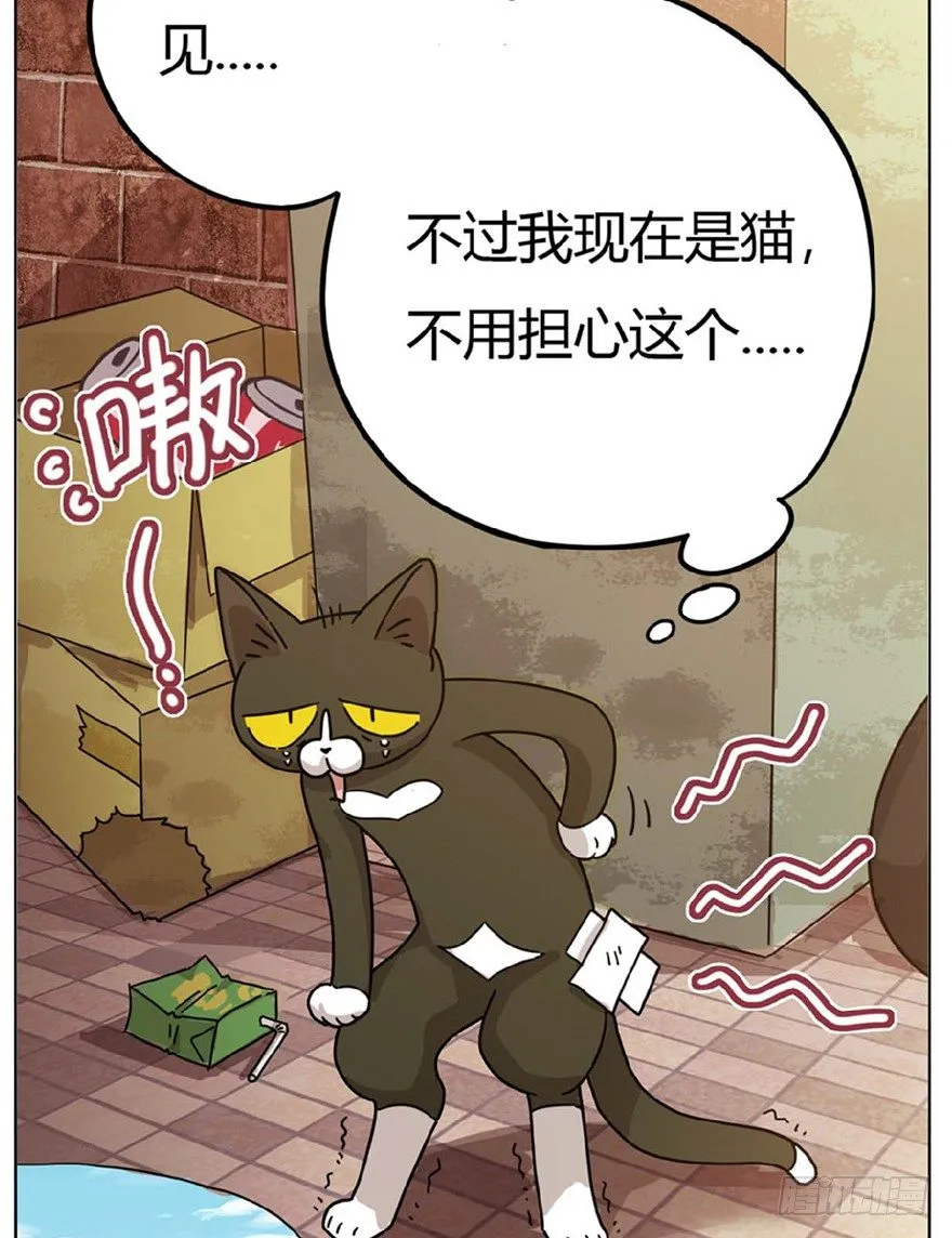 第1爪 猫？猫！ 第38页