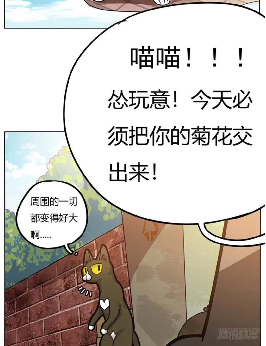 第1爪 猫？猫！ 第39页