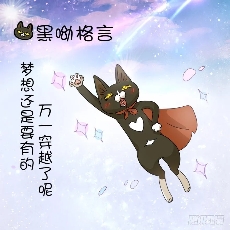 第1爪 猫？猫！ 第41页
