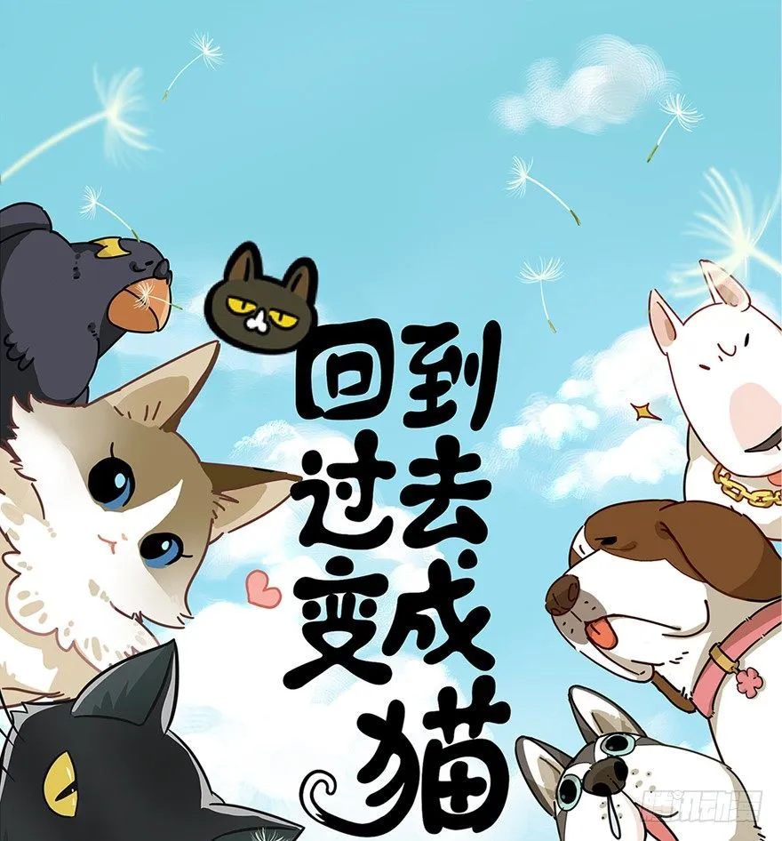 第2爪 做猫第一课（上） 第1页