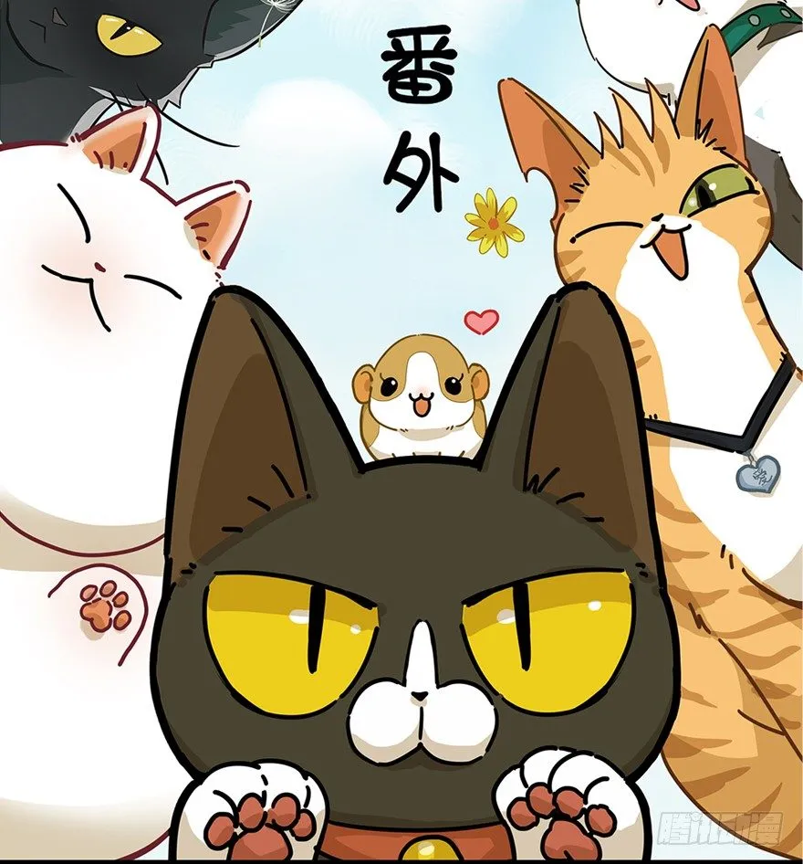 第2爪 做猫第一课（上） 第2页