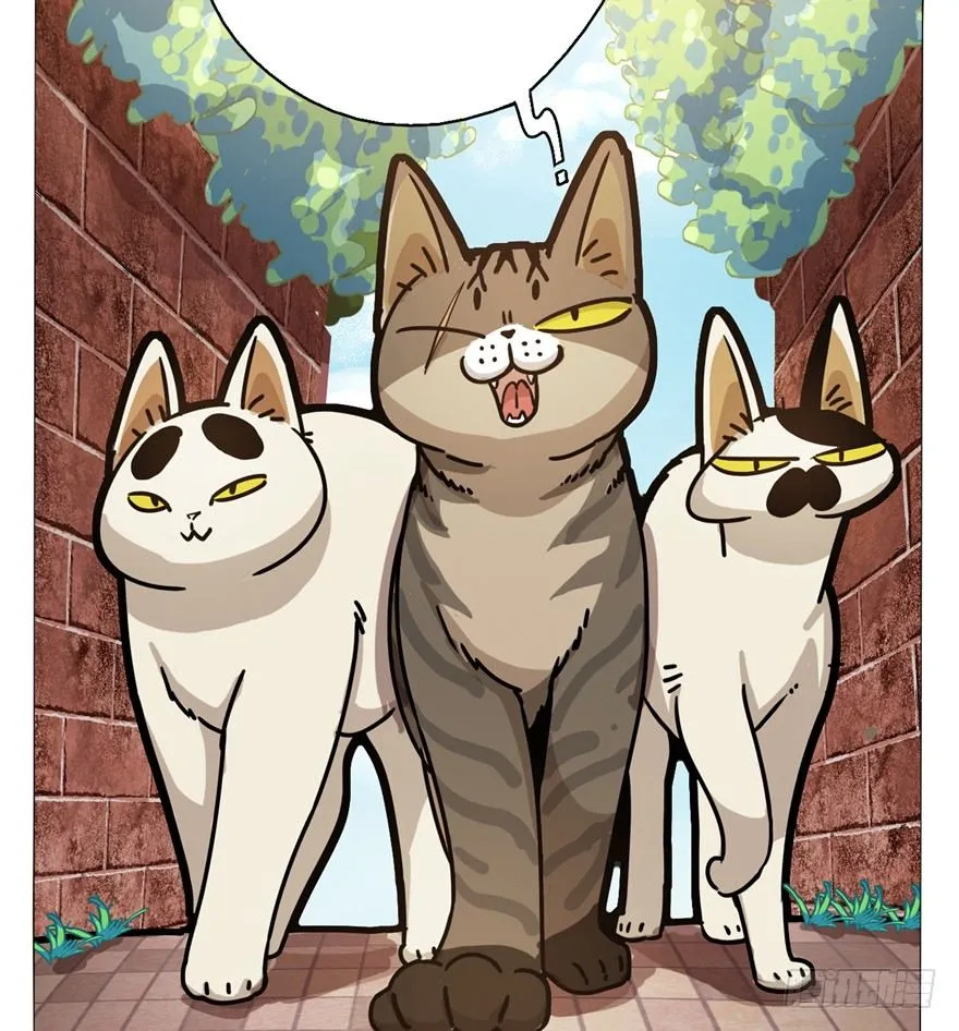 第2爪 做猫第一课（上） 第7页
