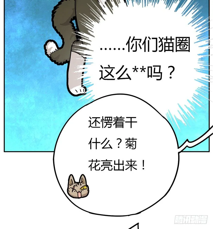 第2爪 做猫第一课（上） 第10页