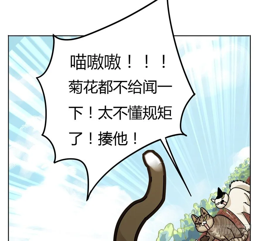 第2爪 做猫第一课（上） 第11页