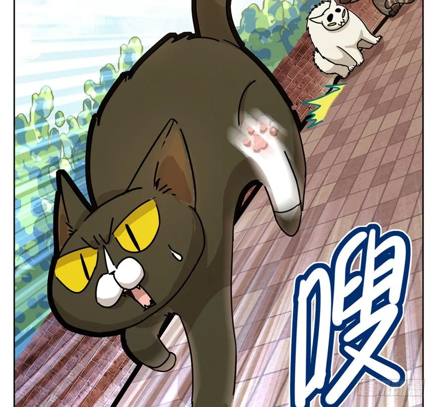 第2爪 做猫第一课（上） 第12页