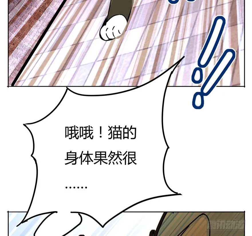第2爪 做猫第一课（上） 第13页