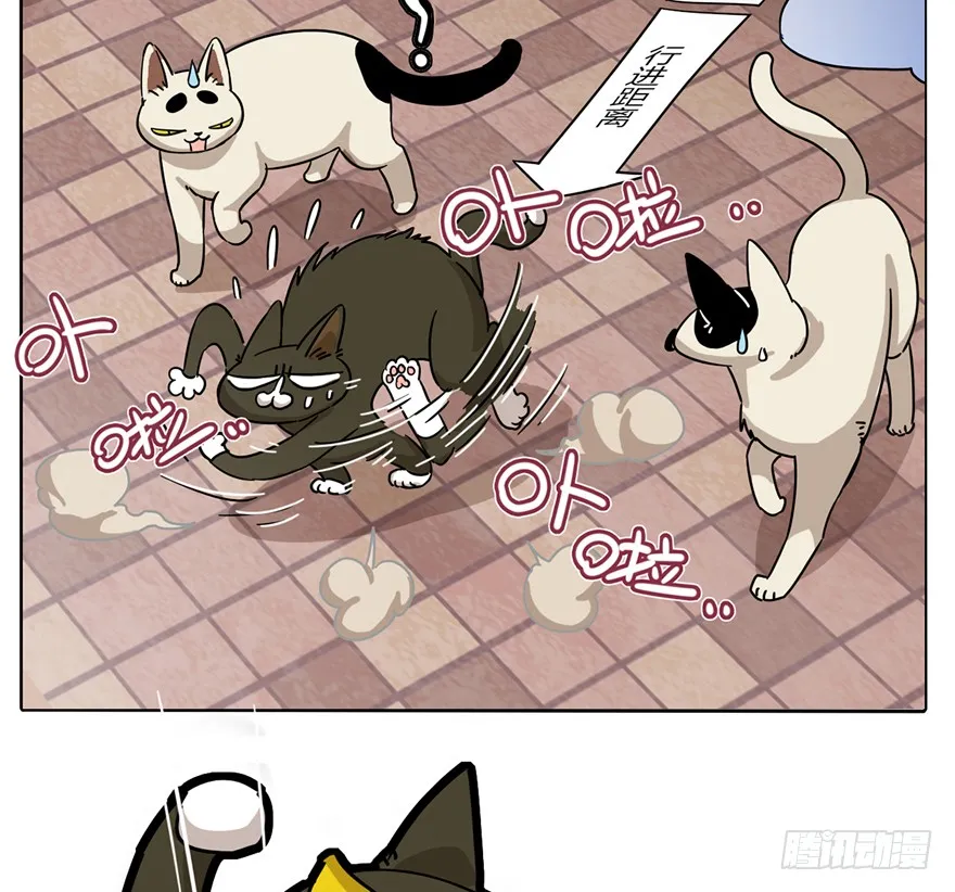 第2爪 做猫第一课（上） 第16页