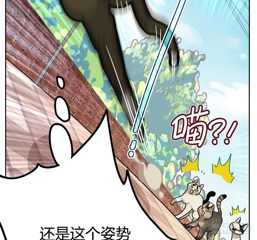 第2爪 做猫第一课（上） 第18页