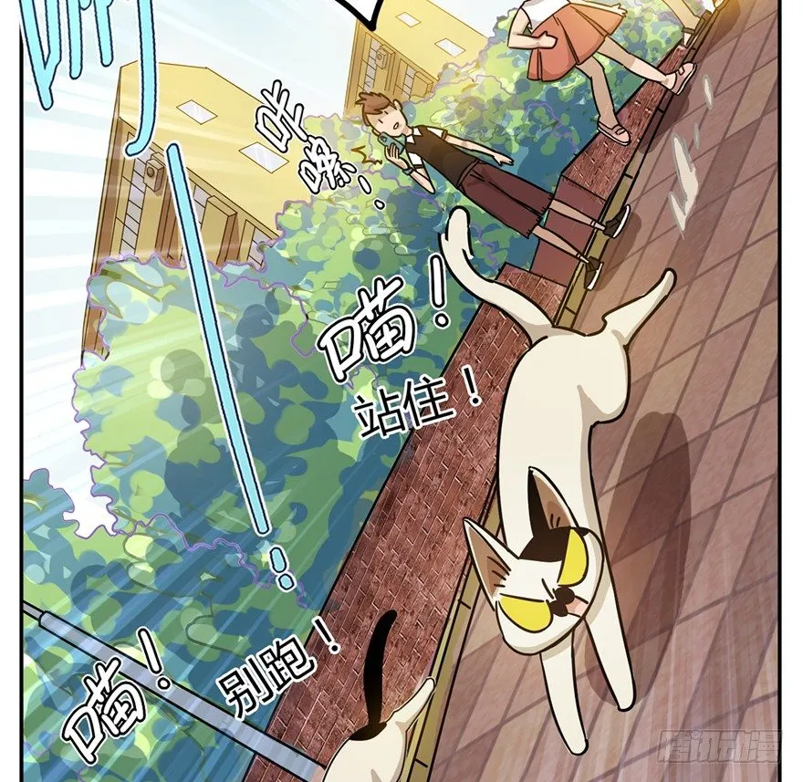 第2爪 做猫第一课（上） 第21页