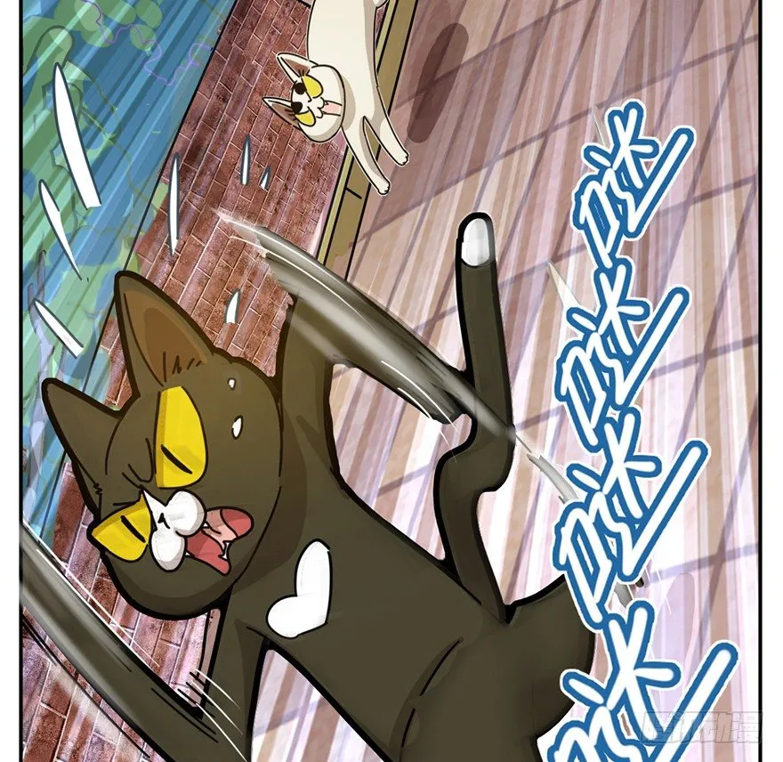 第2爪 做猫第一课（上） 第22页