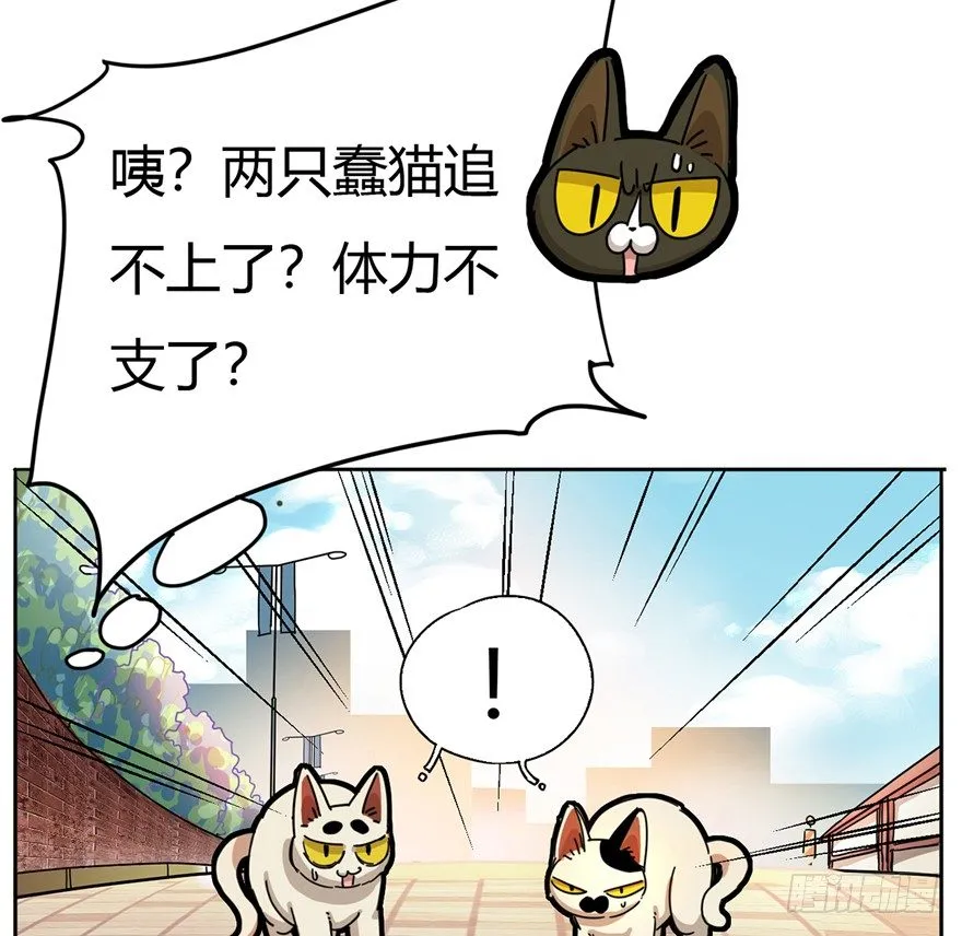 第2爪 做猫第一课（上） 第24页