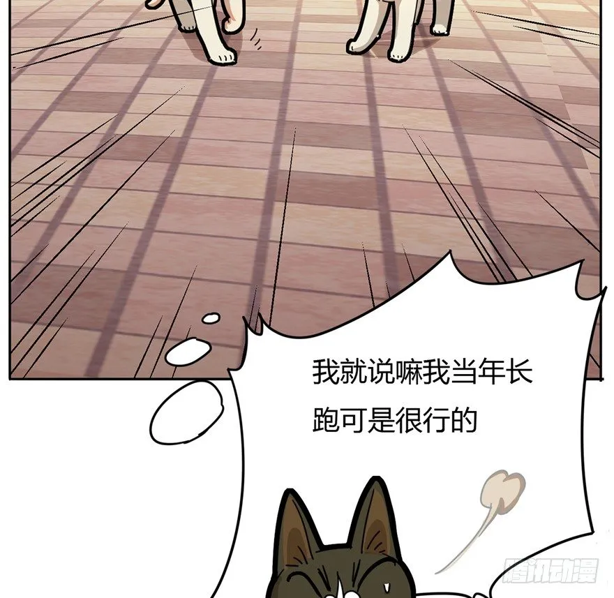 第2爪 做猫第一课（上） 第25页