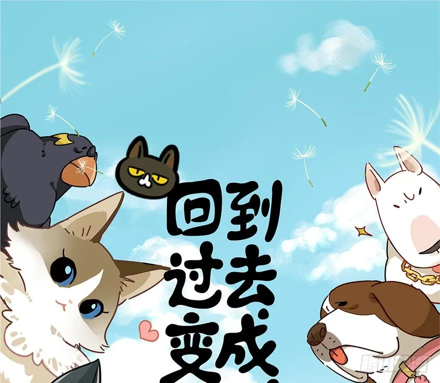 第3爪 做猫第一课（下） 第1页