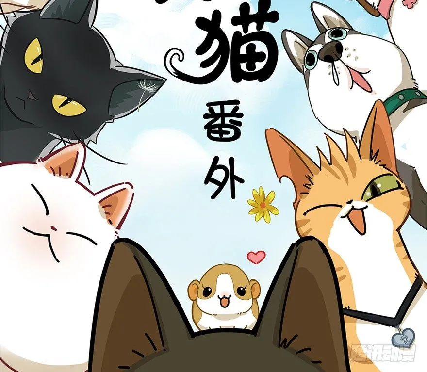 第3爪 做猫第一课（下） 第2页