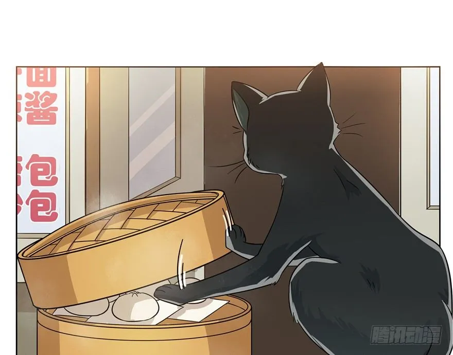 第3爪 做猫第一课（下） 第11页