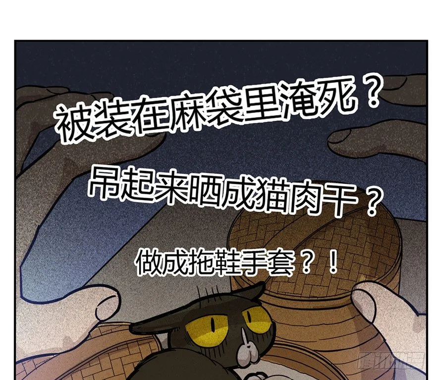 第3爪 做猫第一课（下） 第23页