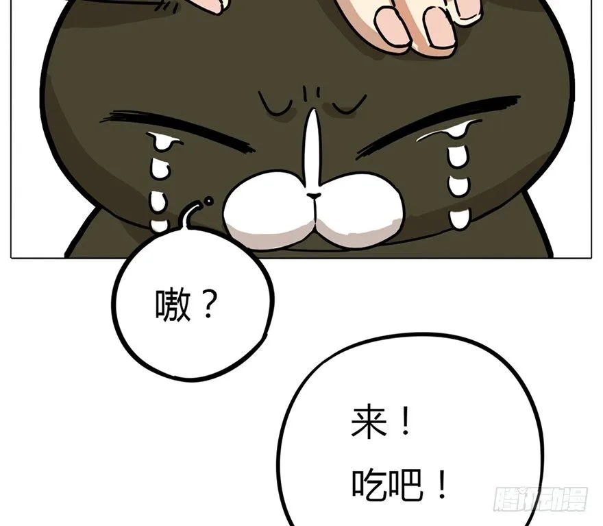 第3爪 做猫第一课（下） 第28页