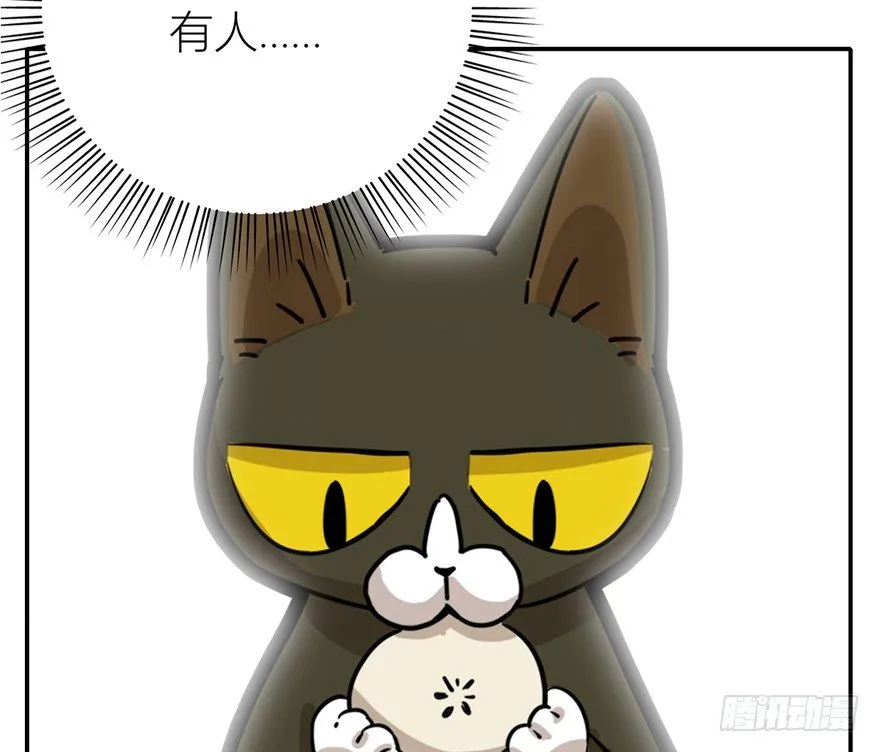 第3爪 做猫第一课（下） 第33页