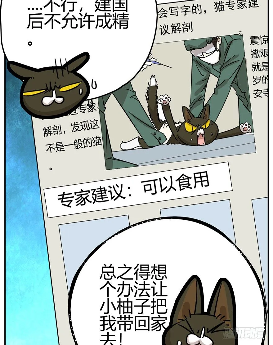 第6爪 似是故人来（下） 第13页