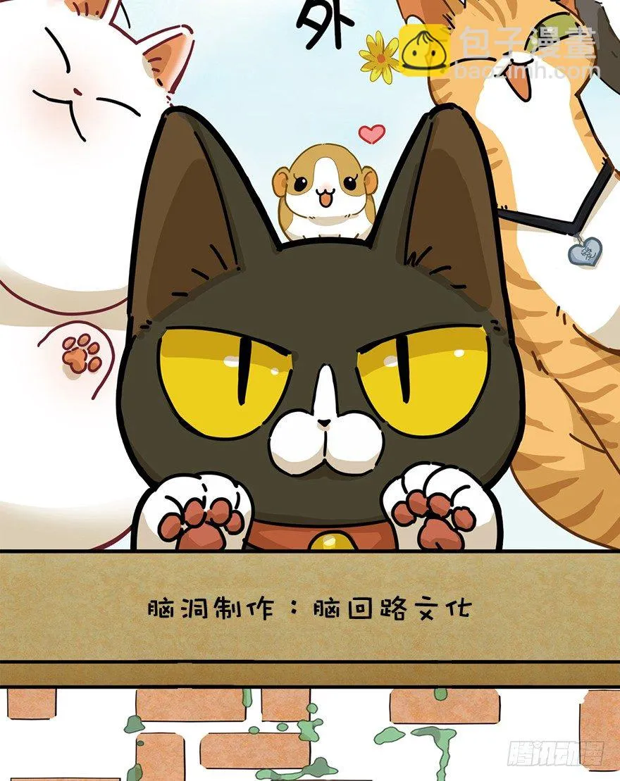 第7爪 一生所爱 第2页