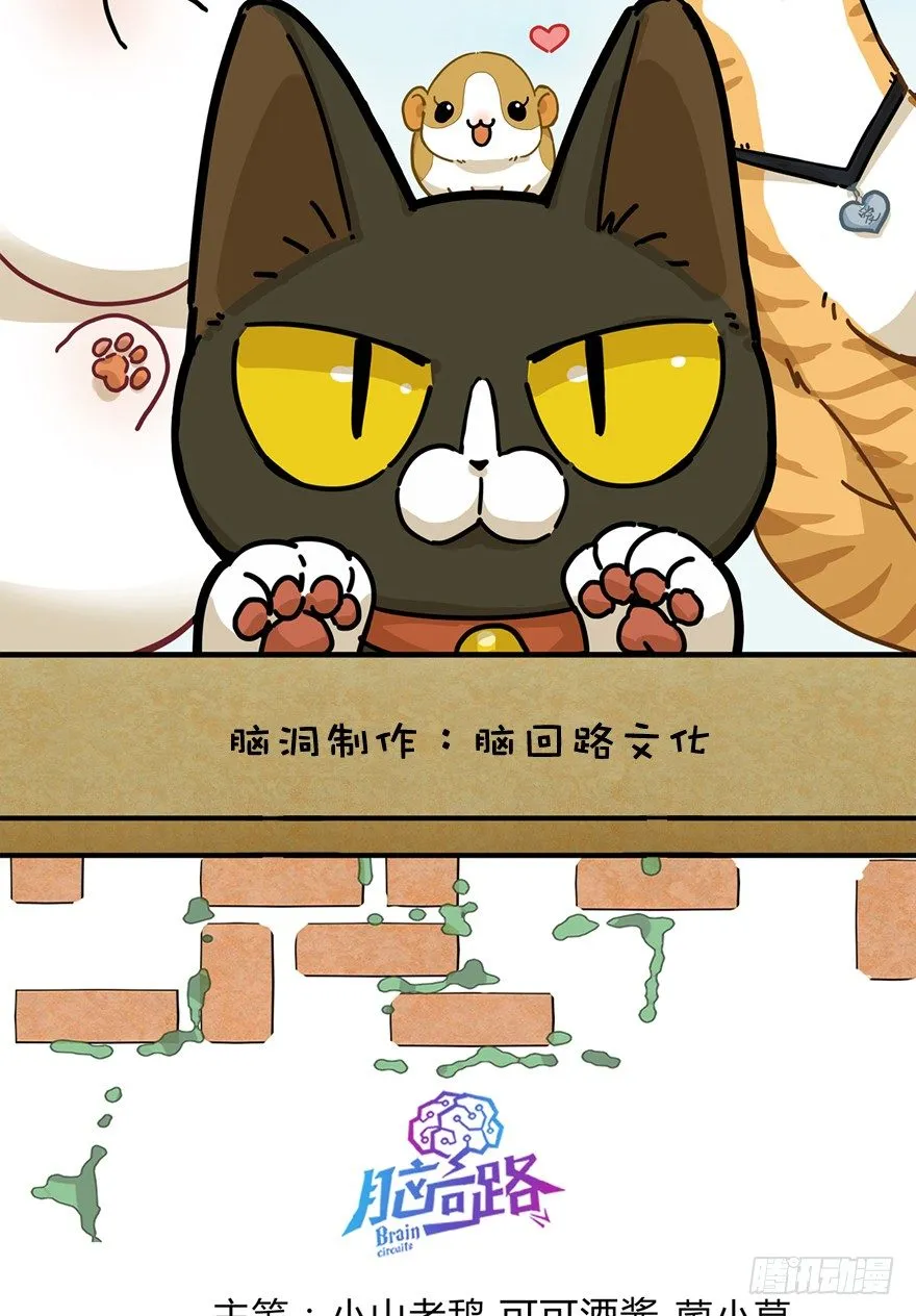 第10爪 你的饭就是我的饭 第2页