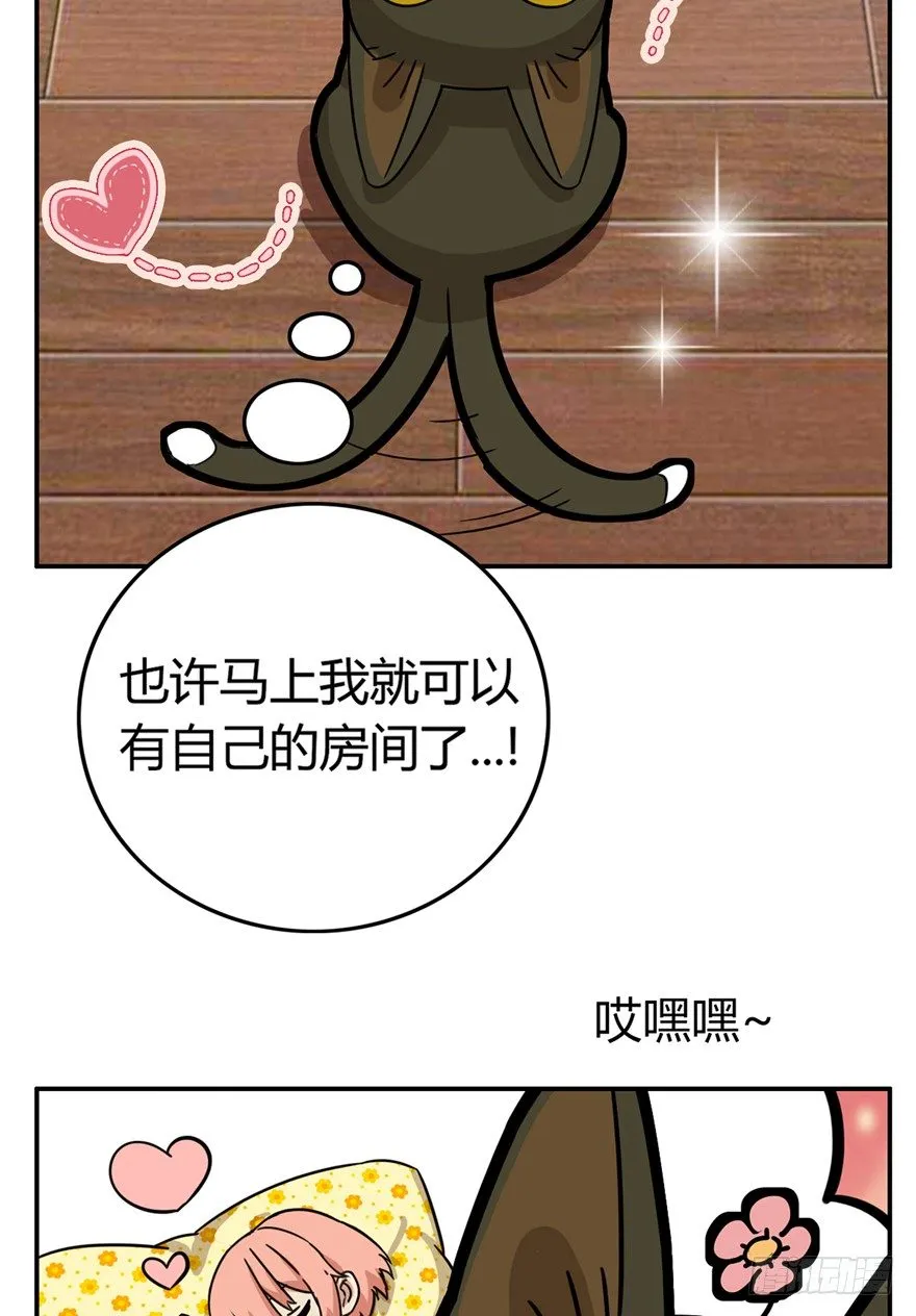 第10爪 你的饭就是我的饭 第5页