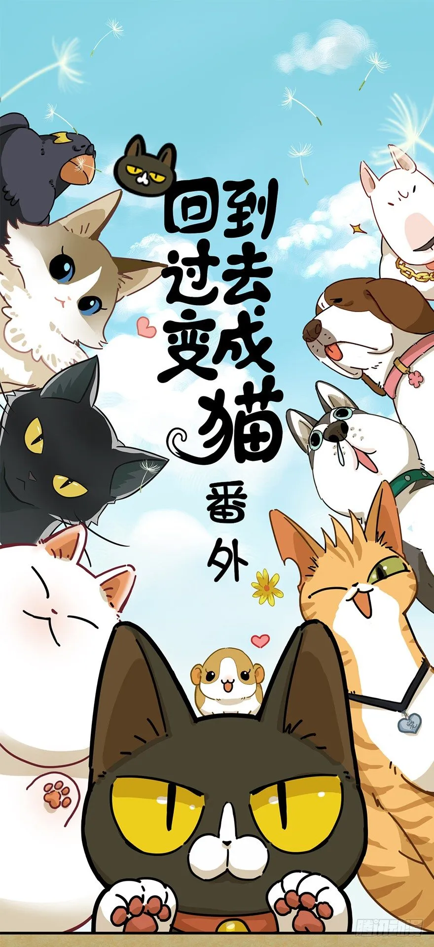 第11爪 啥都能吃 第1页