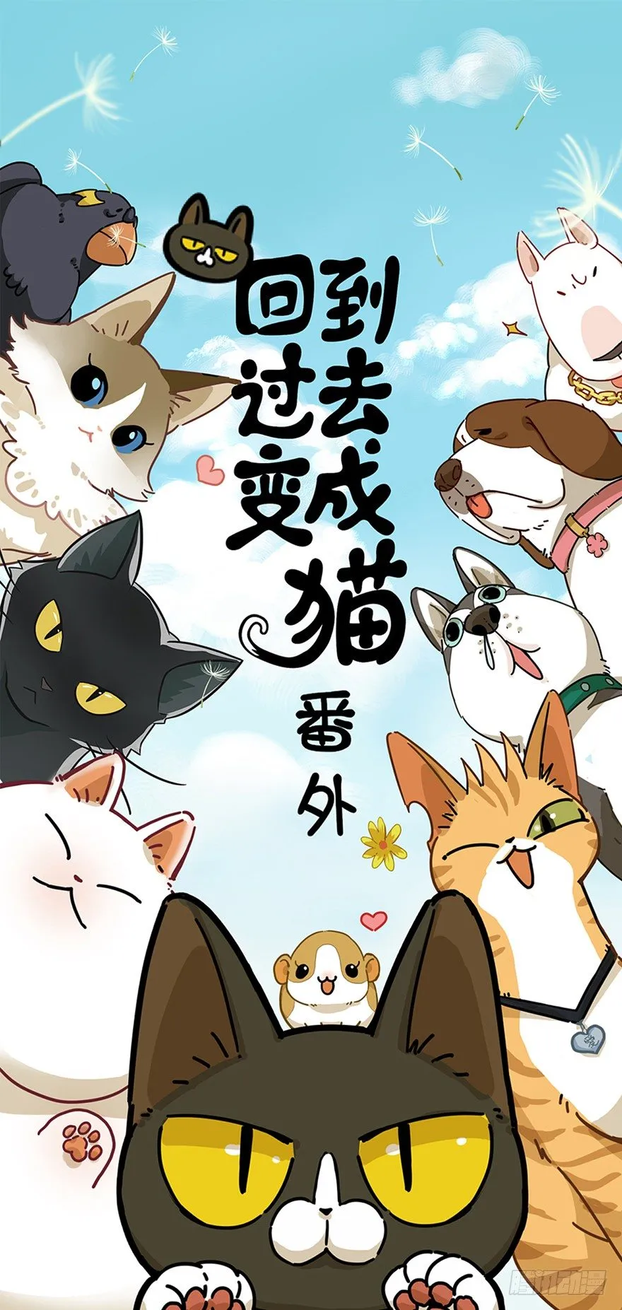 第12爪 番外 神秘的蛋嘴猫 第1页