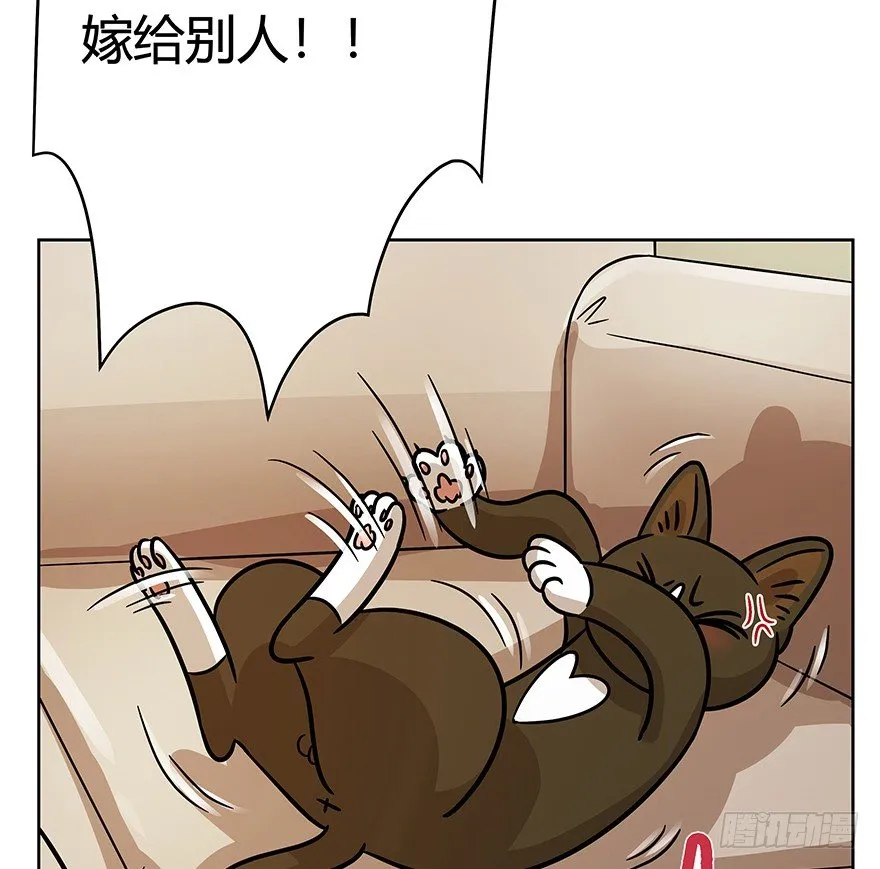 第74爪 身份之谜 第61页