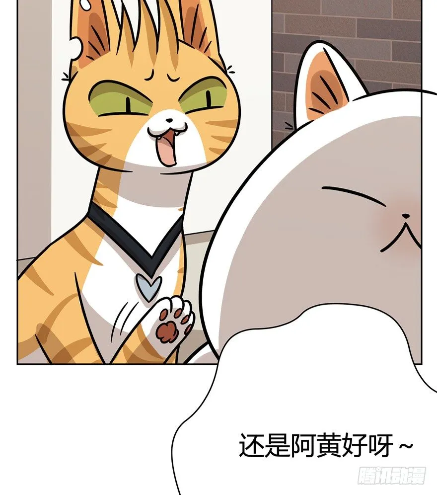 第81爪 “拖油瓶”黑呦呦（下） 第12页
