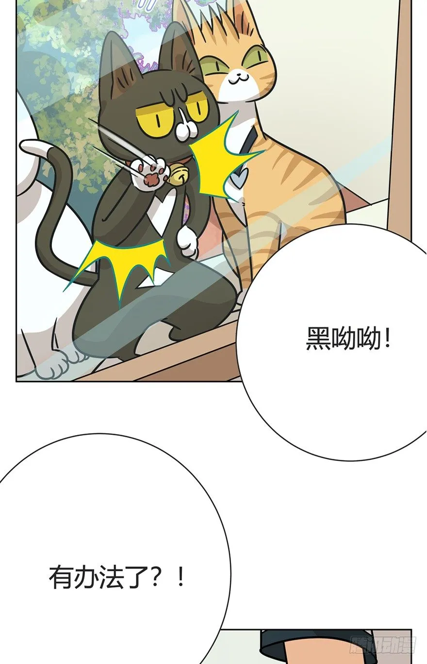 第82爪 黑呦呦的“诡计” 第21页