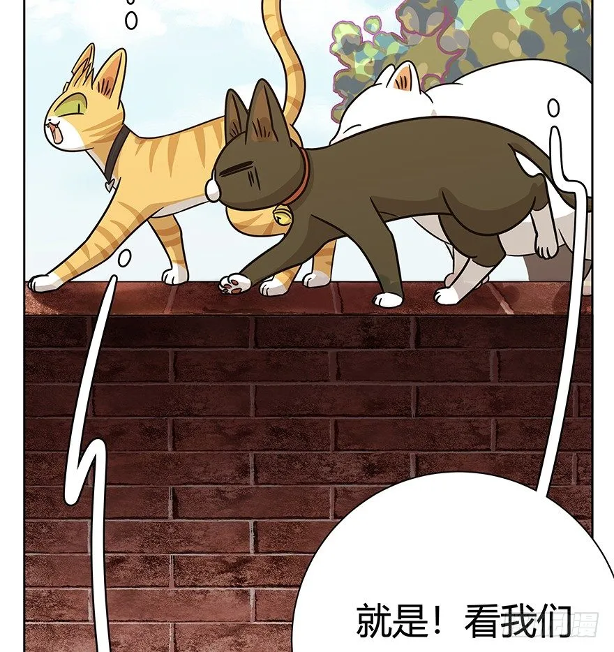 第83爪 “复合大师”黑呦呦 第25页
