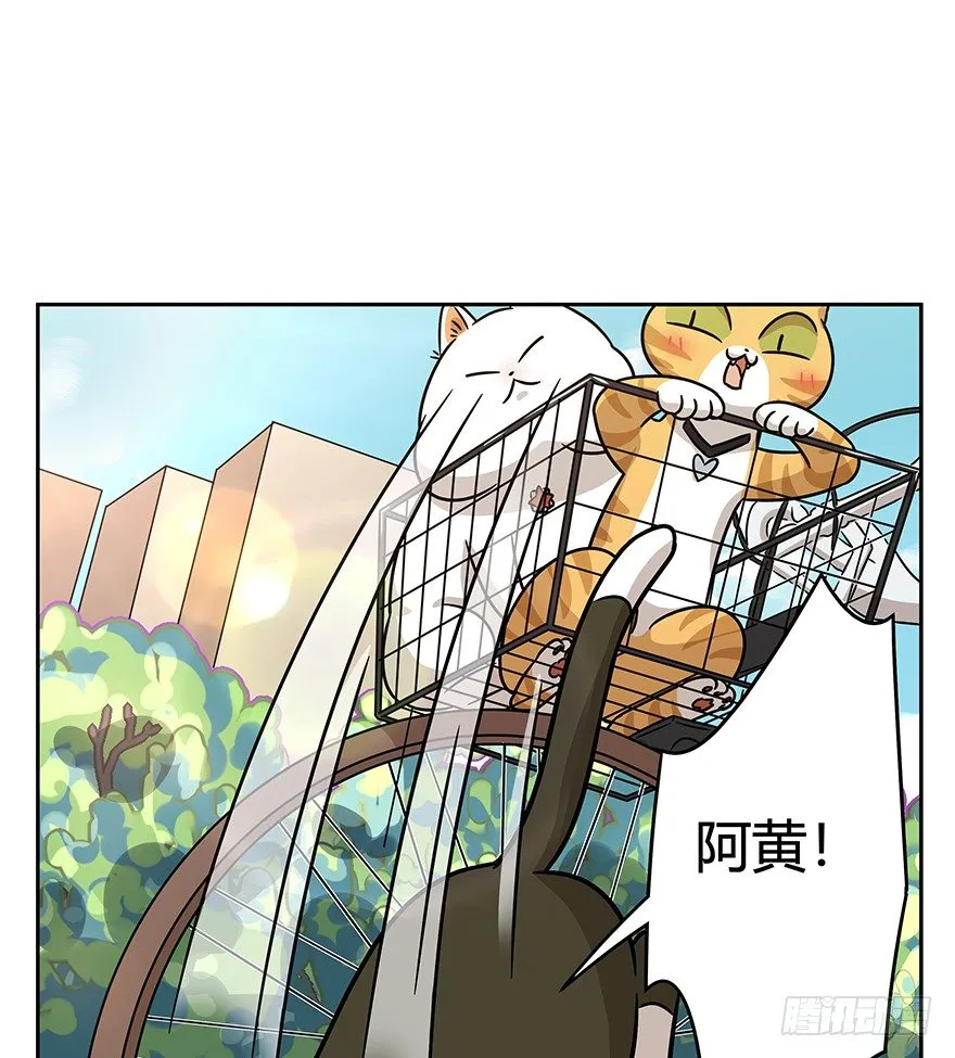 第86爪 讲义气的“冒牌货”（上 第8页