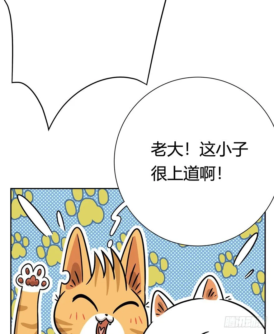 第88爪 祸水东引（上） 第15页