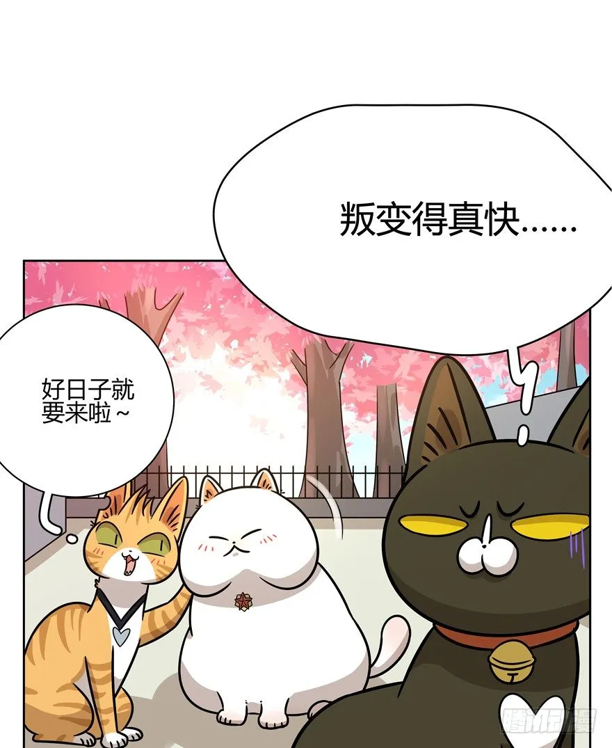 第88爪 祸水东引（上） 第17页