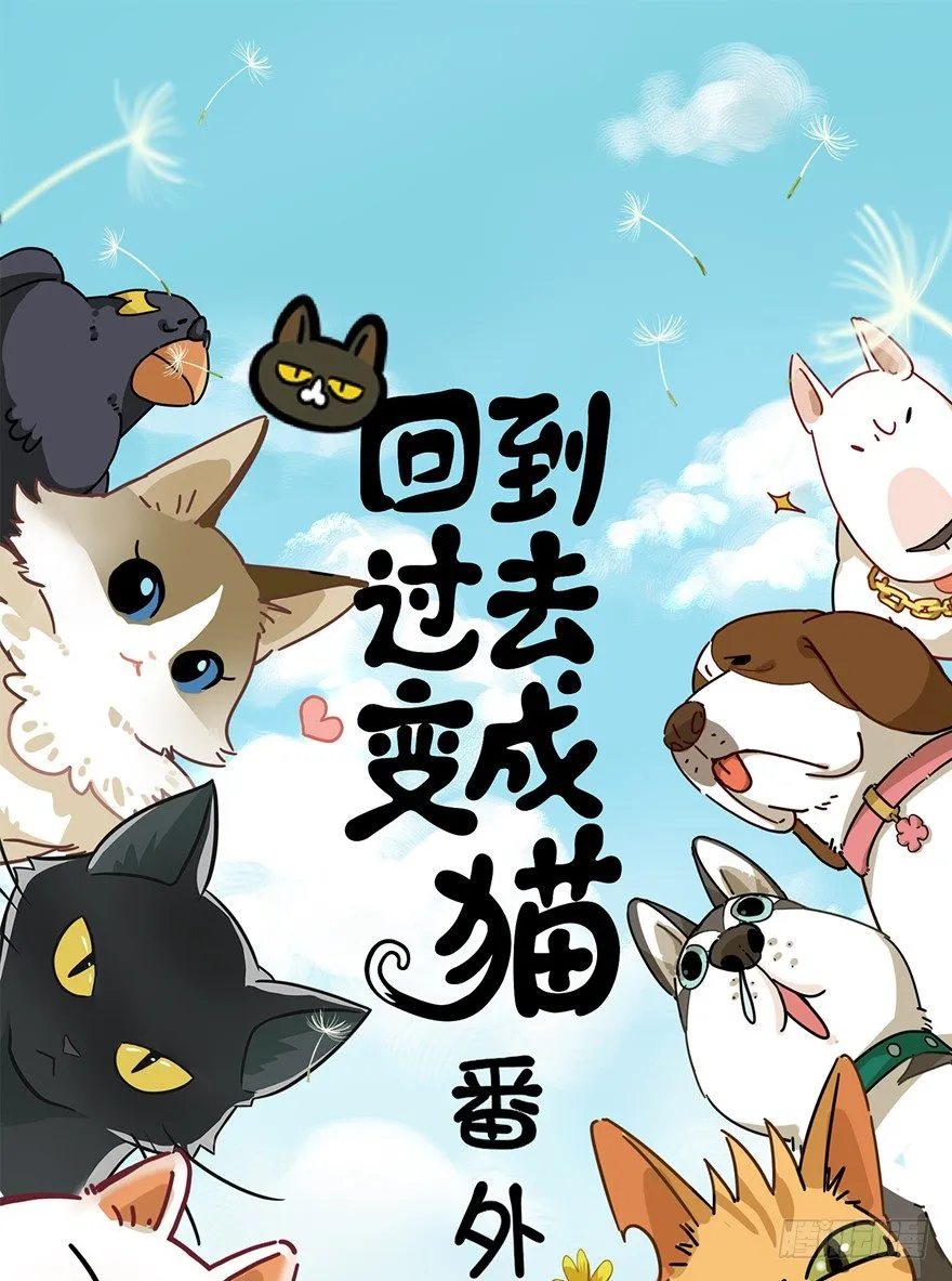 第90爪 翻脸不认猫（上） 第1页