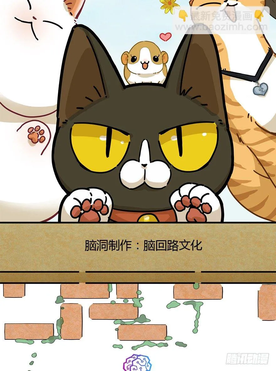 第90爪 翻脸不认猫（上） 第2页
