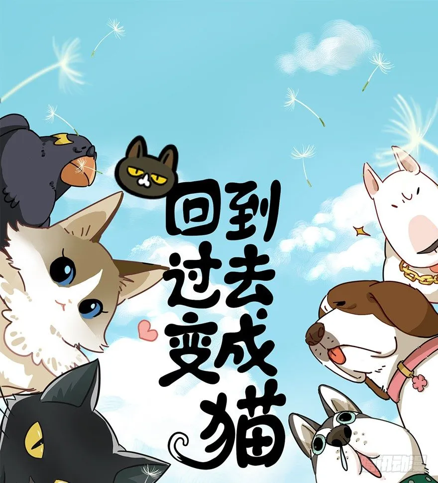 第91爪 翻脸不认猫（下） 第1页