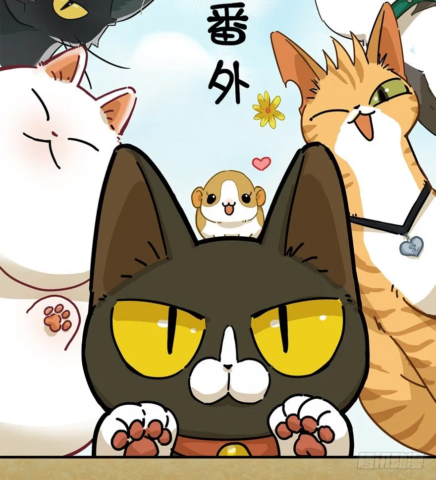 第91爪 翻脸不认猫（下） 第2页