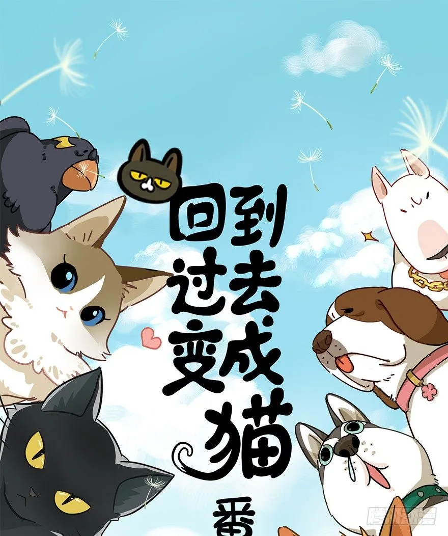 第96爪 猫鼠联盟 第1页