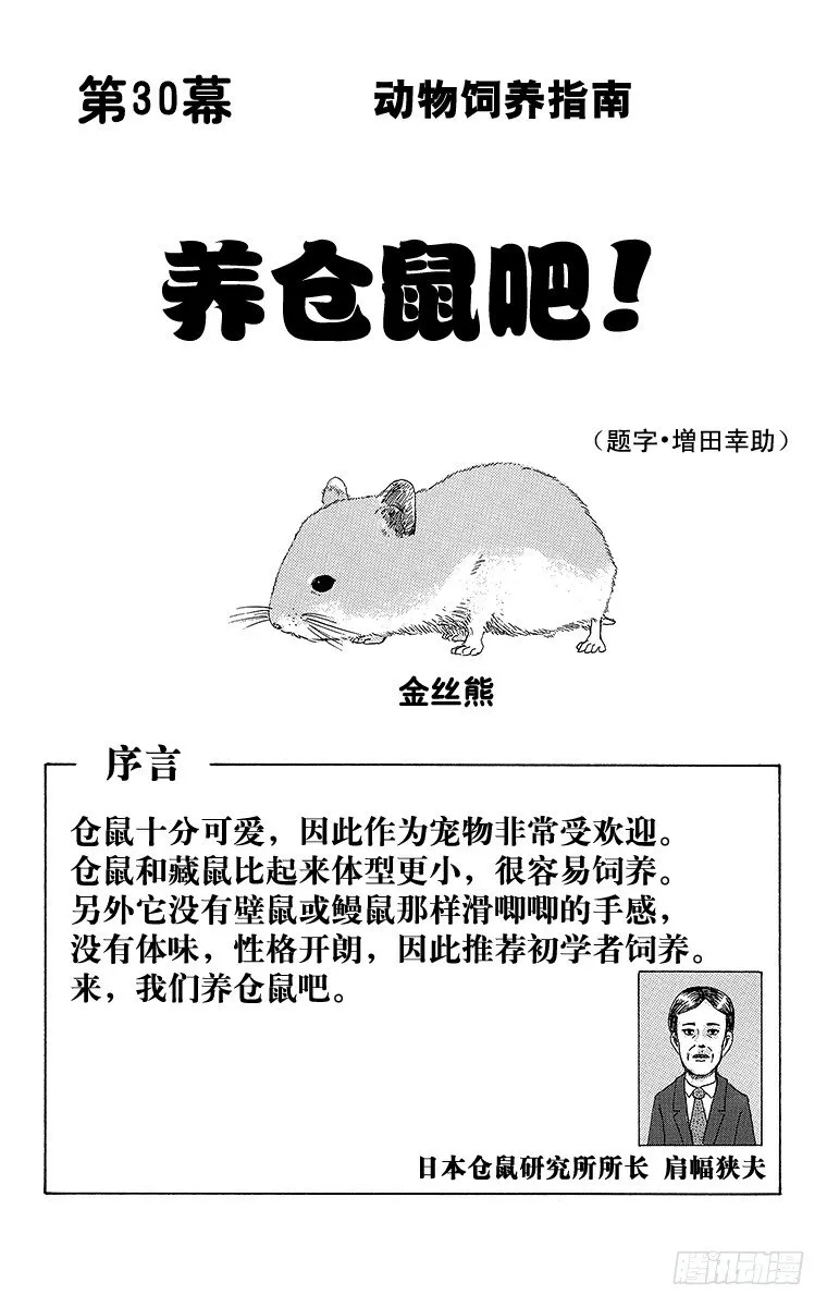 第30幕 动物饲养指南 养仓鼠吧 第1页