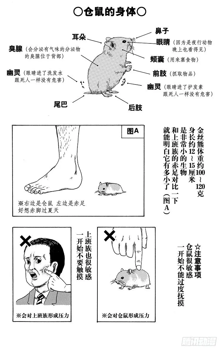 第30幕 动物饲养指南 养仓鼠吧 第2页