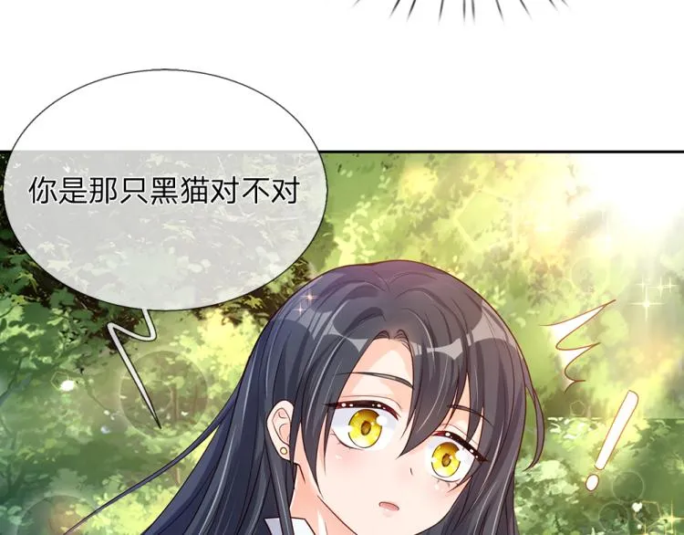 第29话 黑猫先生 第33页