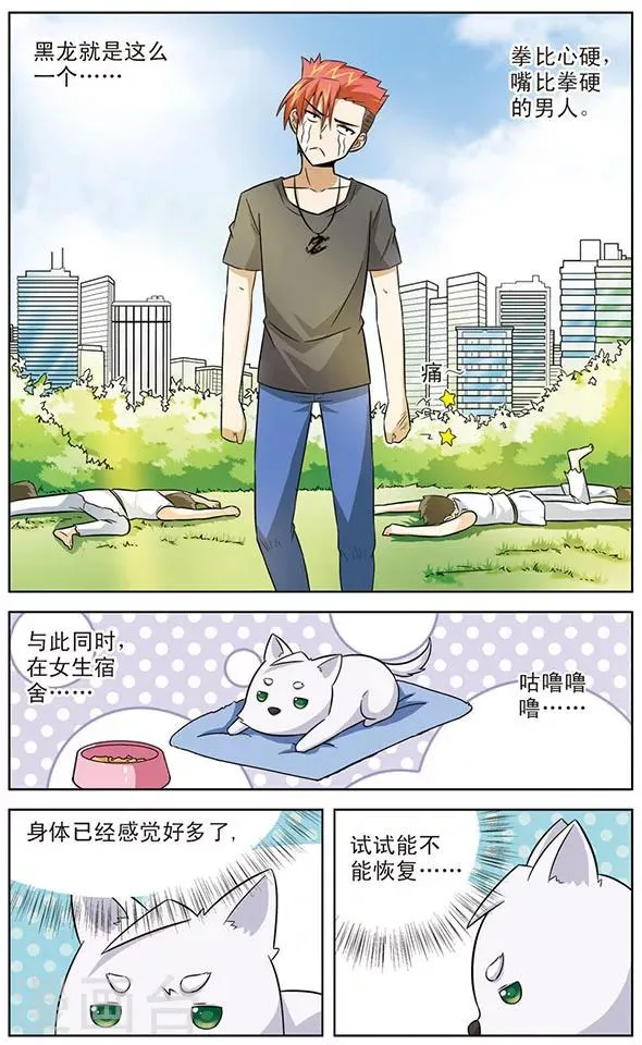 第20话 不堪回首的经历 第11页