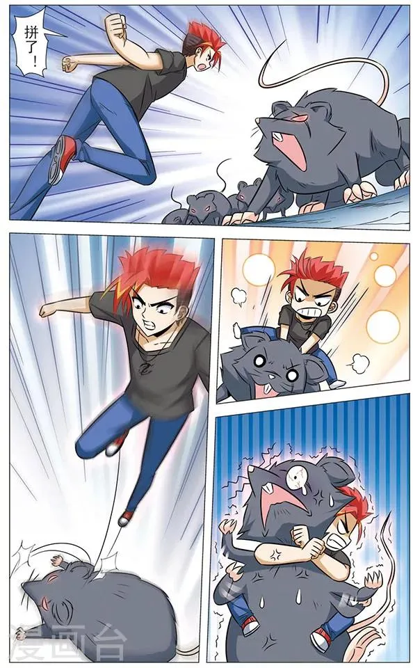 第68话 猫皇与黑龙 第7页