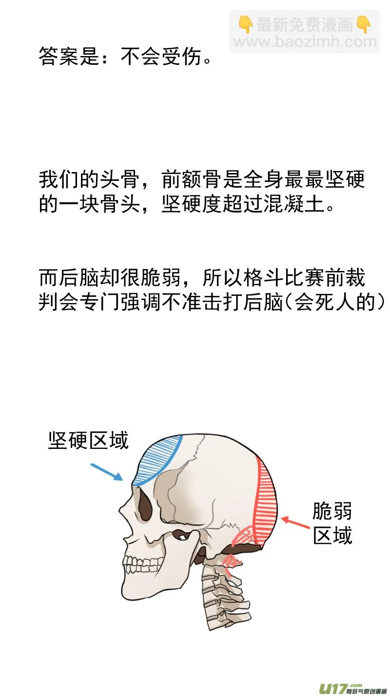 番外 雏蜂小知识 第6页
