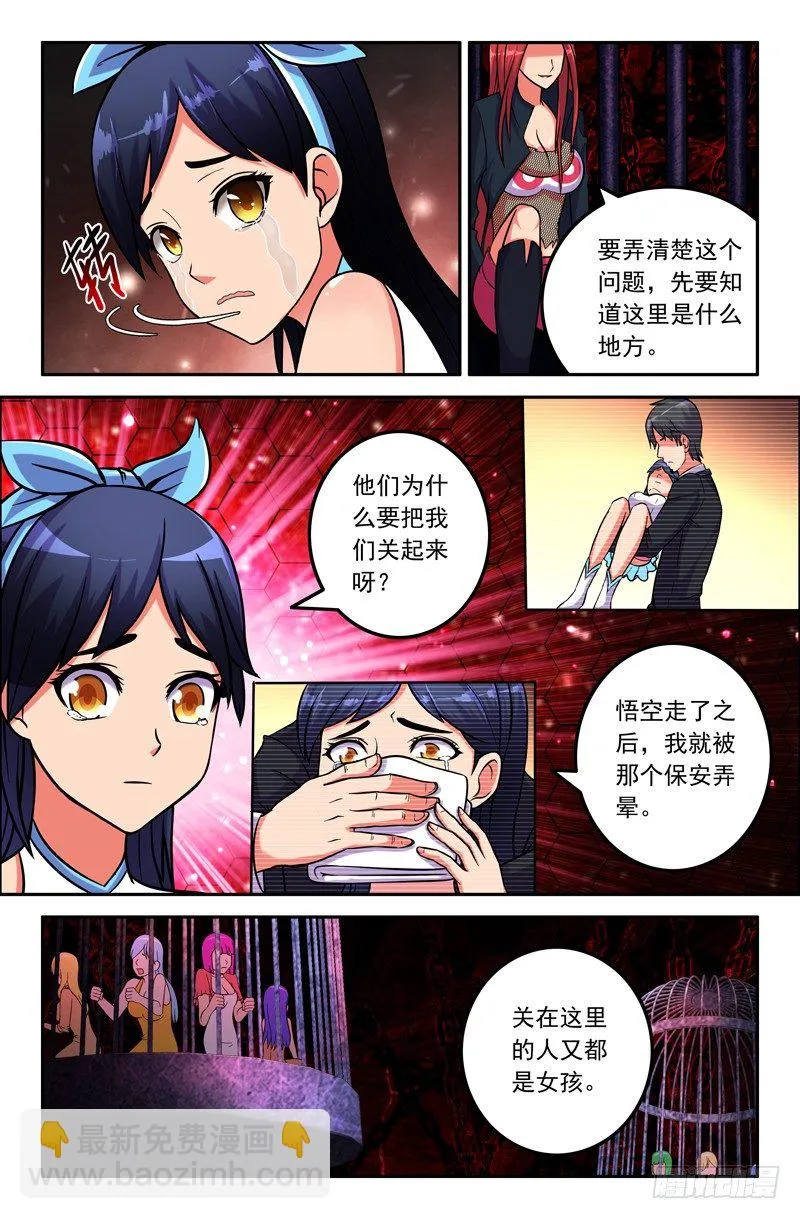 29 同类 第5页